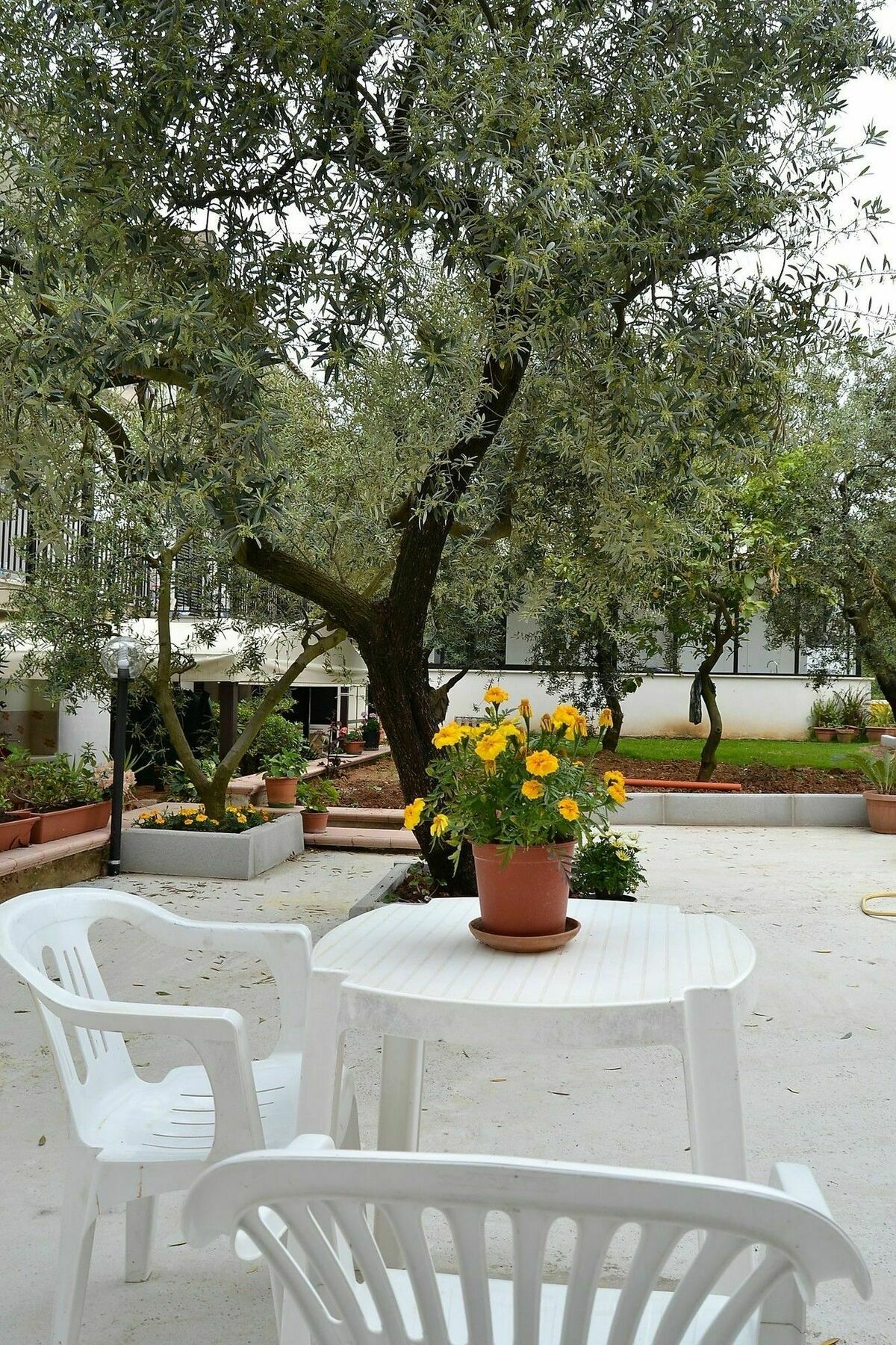 Il Girasole Formia Guesthouse Rooms Eksteriør billede